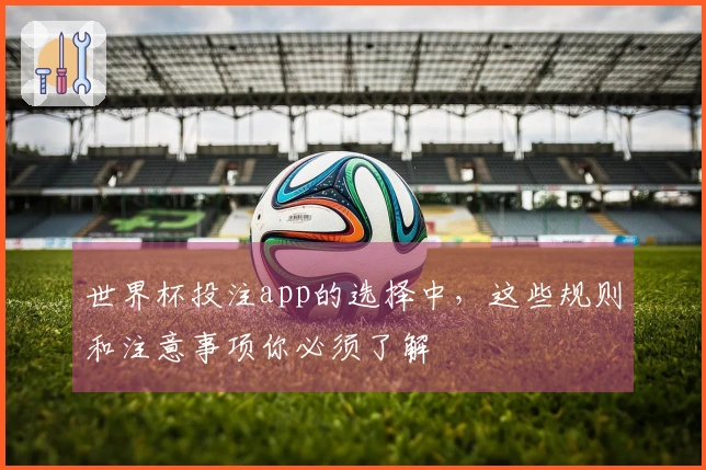 世界杯投注app的选择中，这些规则和注意事项你必须了解