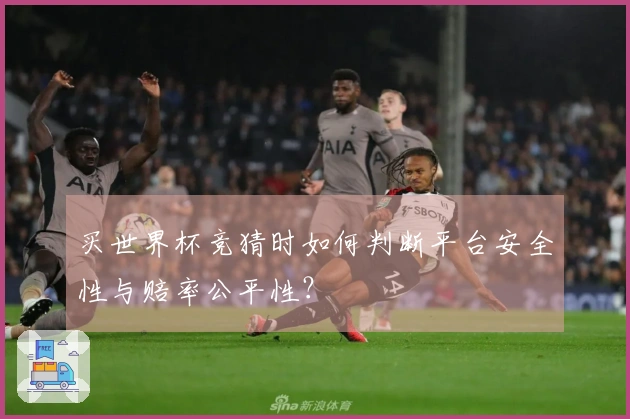 买世界杯竞猜时如何判断平台安全性与赔率公平性？