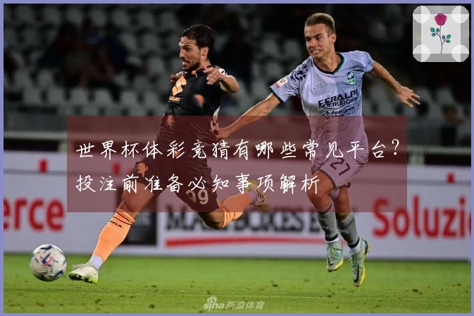 世界杯体彩竞猜有哪些常见平台？投注前准备必知事项解析