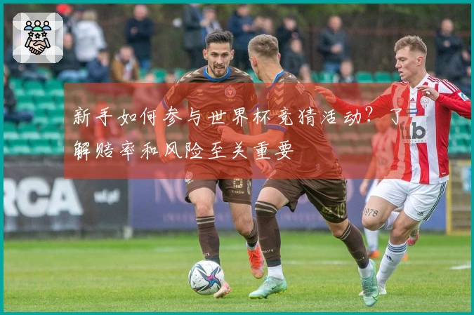新手如何参与世界杯竞猜活动？了解赔率和风险至关重要