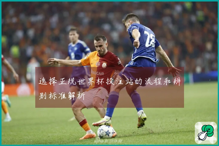 选择正规世界杯投注站的流程和辨别标准解析