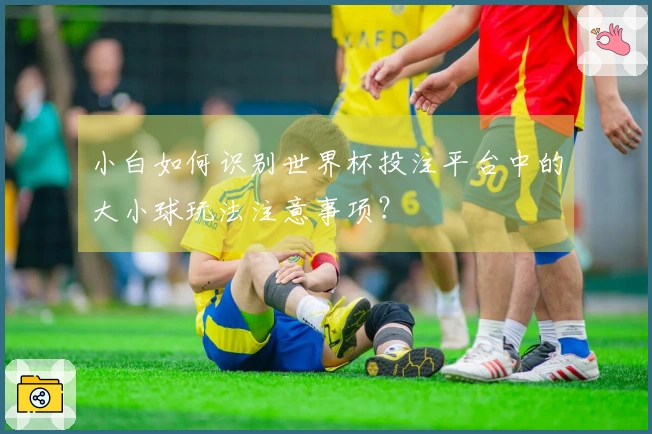 小白如何识别世界杯投注平台中的大小球玩法注意事项?