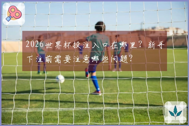 2026世界杯投注入口在哪里?新手下注前需要注意哪些问题?