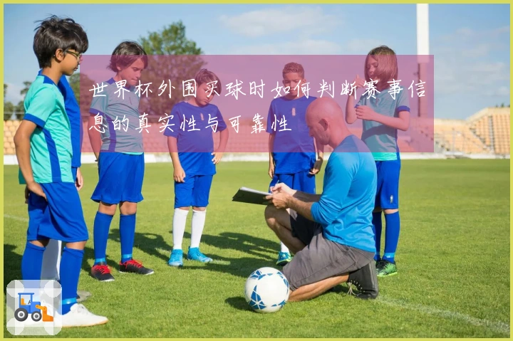 世界杯外围买球时如何判断赛事信息的真实性与可靠性