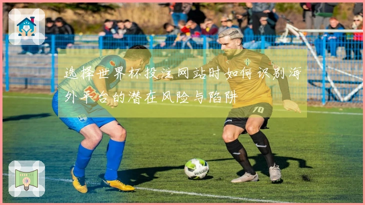 选择世界杯投注网站时如何识别海外平台的潜在风险与陷阱
