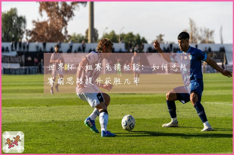 世界杯小组赛竞猜经验：如何总结赛前思路提升获胜几率