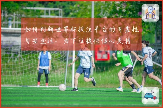 如何判断世界杯投注平台的可靠性与安全性，为下注提供信心支持