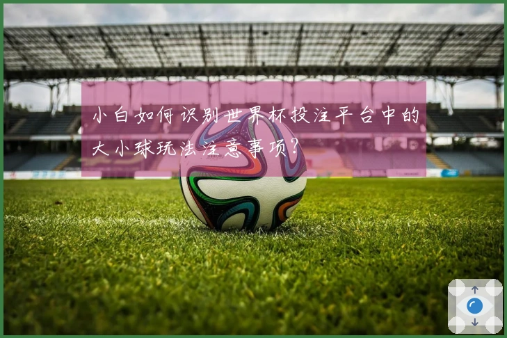 小白如何识别世界杯投注平台中的大小球玩法注意事项？