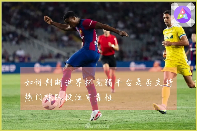 如何判断世界杯竞猜平台是否支持热门球队投注可靠性