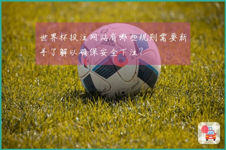 世界杯投注网站有哪些规则需要新手了解以确保安全下注？