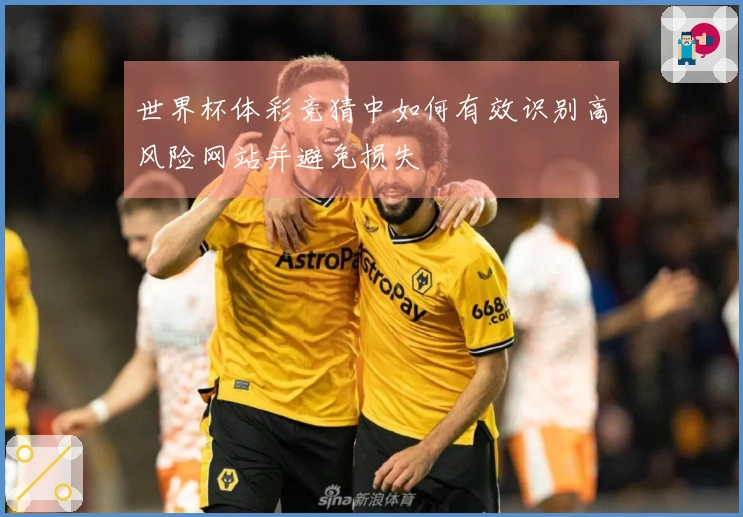 世界杯体彩竞猜中如何有效识别高风险网站并避免损失