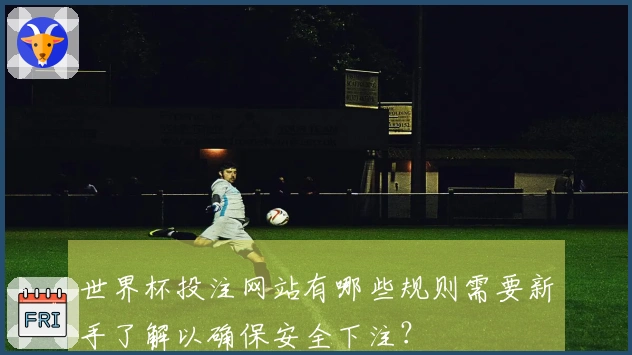 世界杯投注网站有哪些规则需要新手了解以确保安全下注？