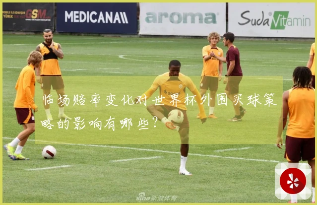 临场赔率变化对世界杯外围买球策略的影响有哪些?