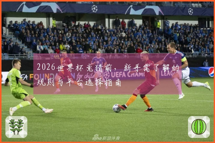 2026世界杯竞猜前，新手需了解的规则与平台选择指南