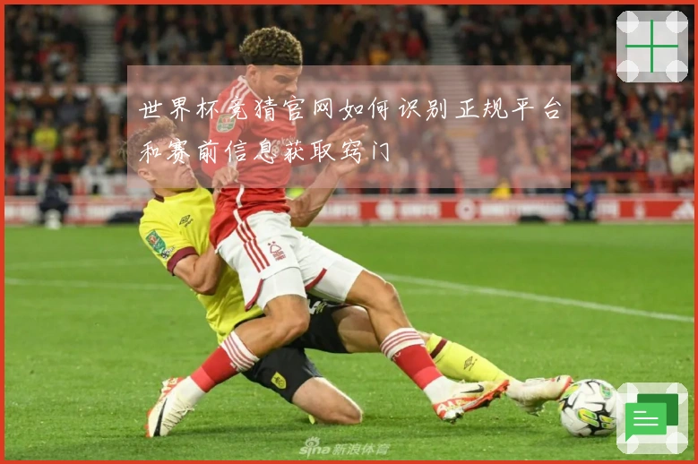 世界杯竞猜官网如何识别正规平台和赛前信息获取窍门