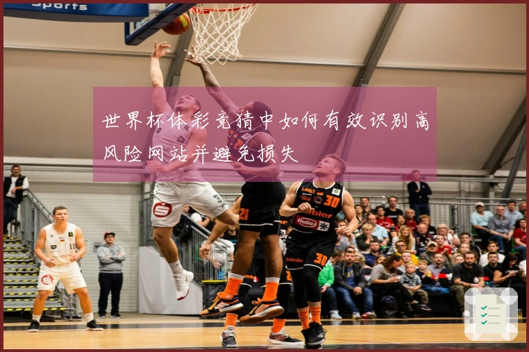 世界杯体彩竞猜中如何有效识别高风险网站并避免损失