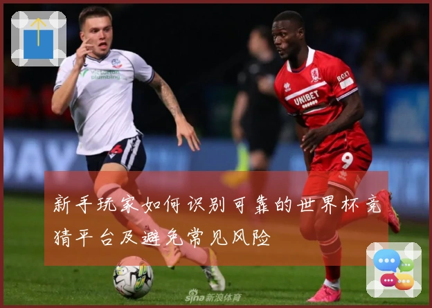 新手玩家如何识别可靠的世界杯竞猜平台及避免常见风险
