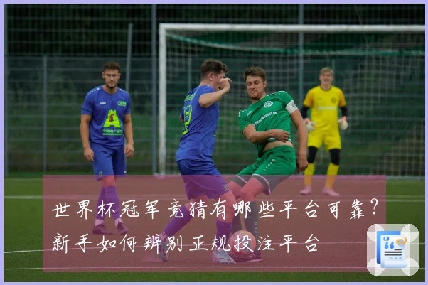 世界杯冠军竞猜有哪些平台可靠？新手如何辨别正规投注平台
